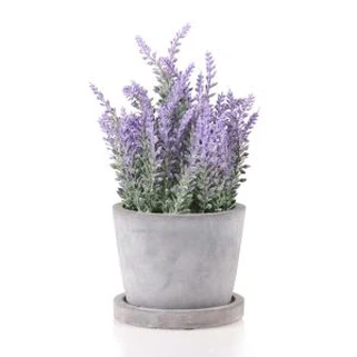 Bonsai Sment Lafant Artiffisial